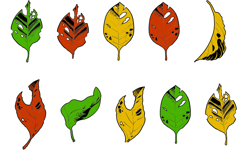 Less Than Perfect Autumn Leaves (768x516), Png Download