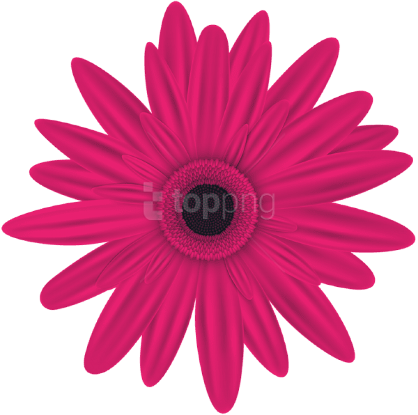 Pink Flower Clip Art Png Image - Pink Flowers Clip Art Free Download (600x596), Png Download