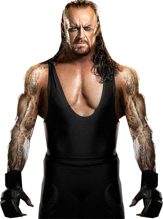 The Undertaker - Wwe Undertaker Png (536x720), Png Download