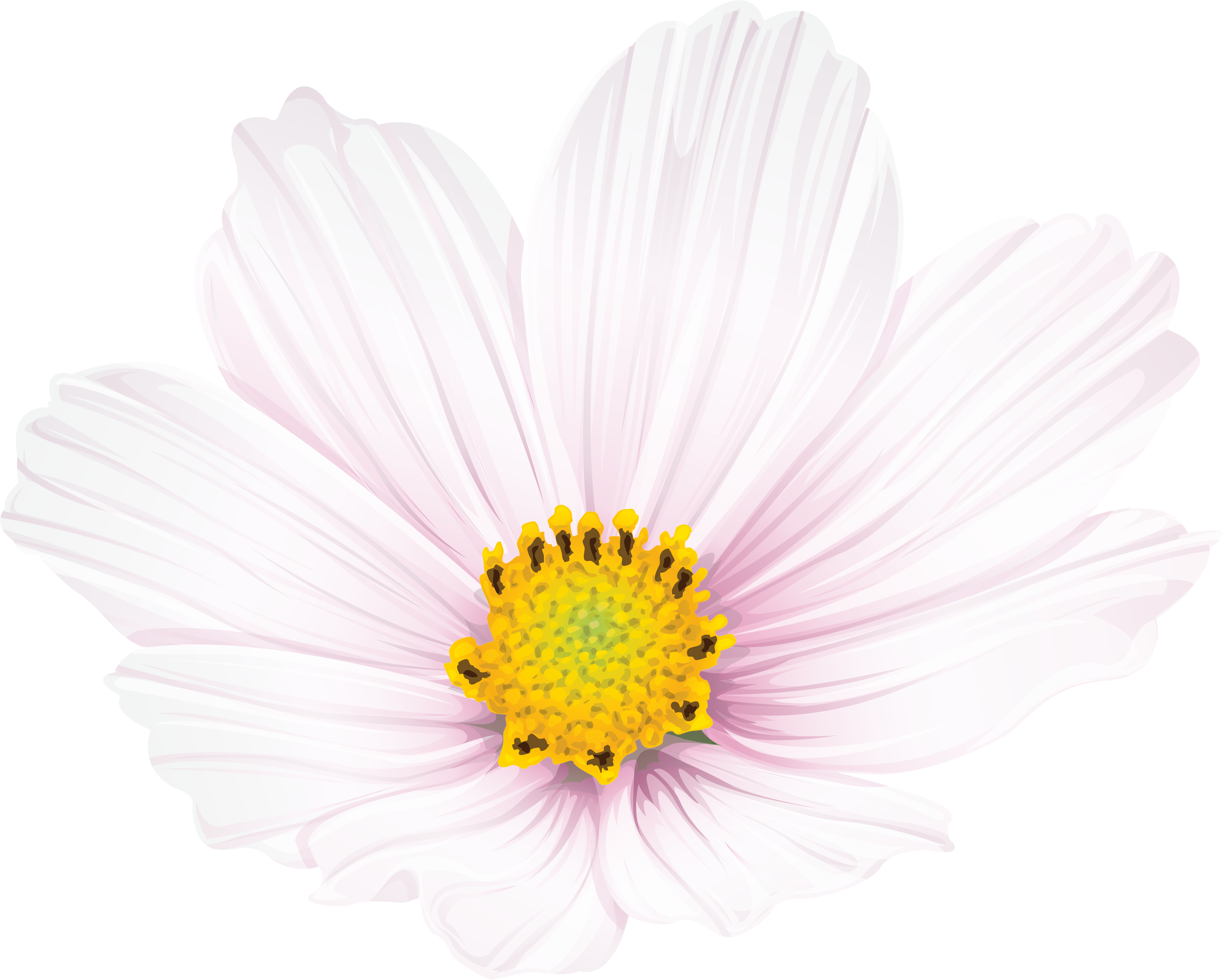 Flower Clip Art Png Image (8000x6406), Png Download