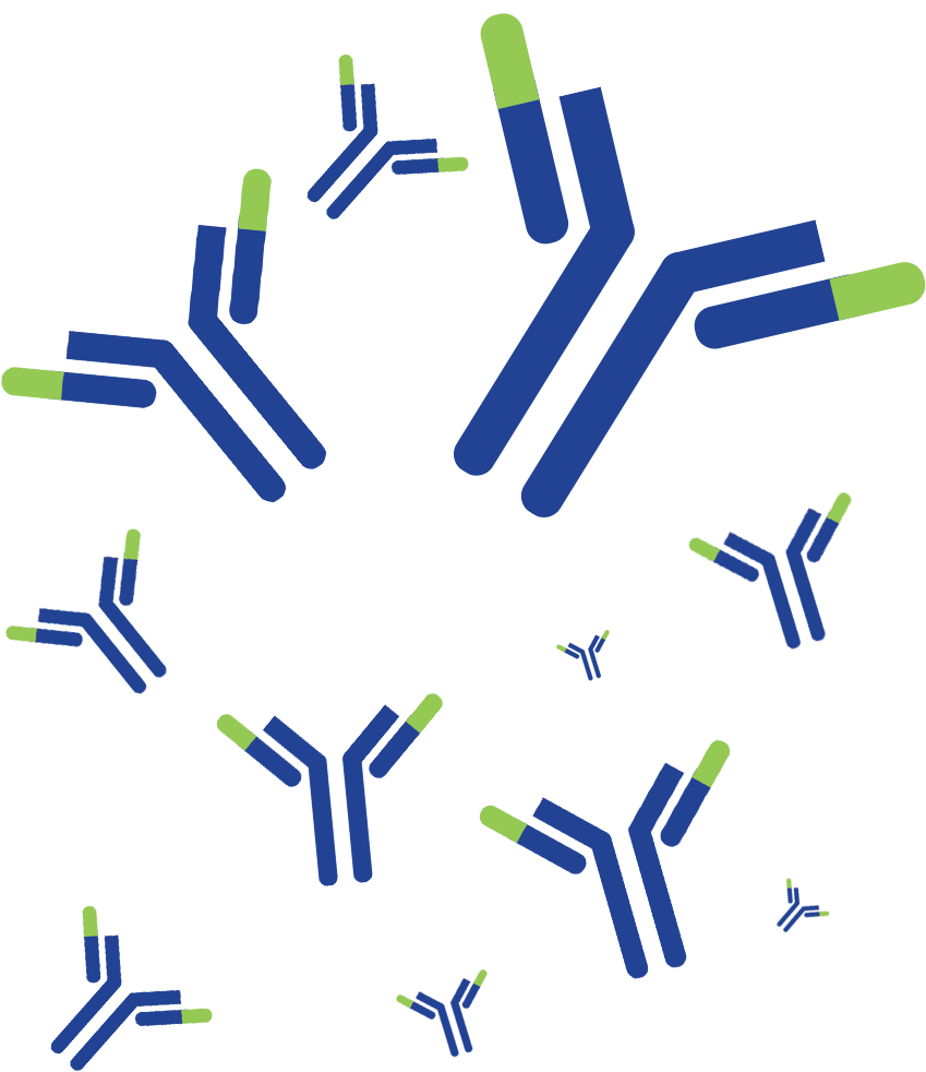 Graphic Design (927x1080), Png Download