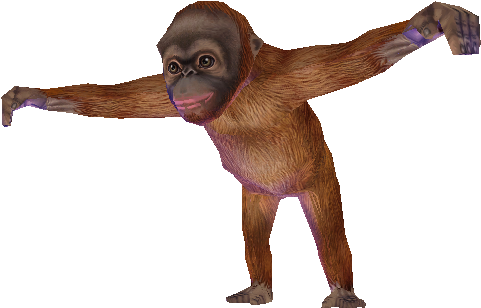 Download Zip Archive - New World Monkey (750x650), Png Download