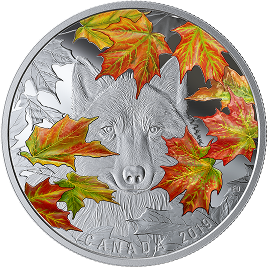 168462 Rev-570 - Coin (570x570), Png Download