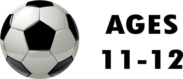 Wentzville Parks And Recreation S Athletic Programs - Soccer Ball (868x384), Png Download