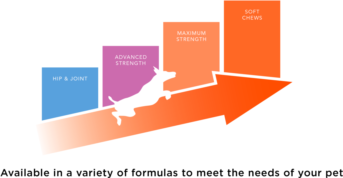Cosequin Ds Msm - Graphic Design (1920x691), Png Download