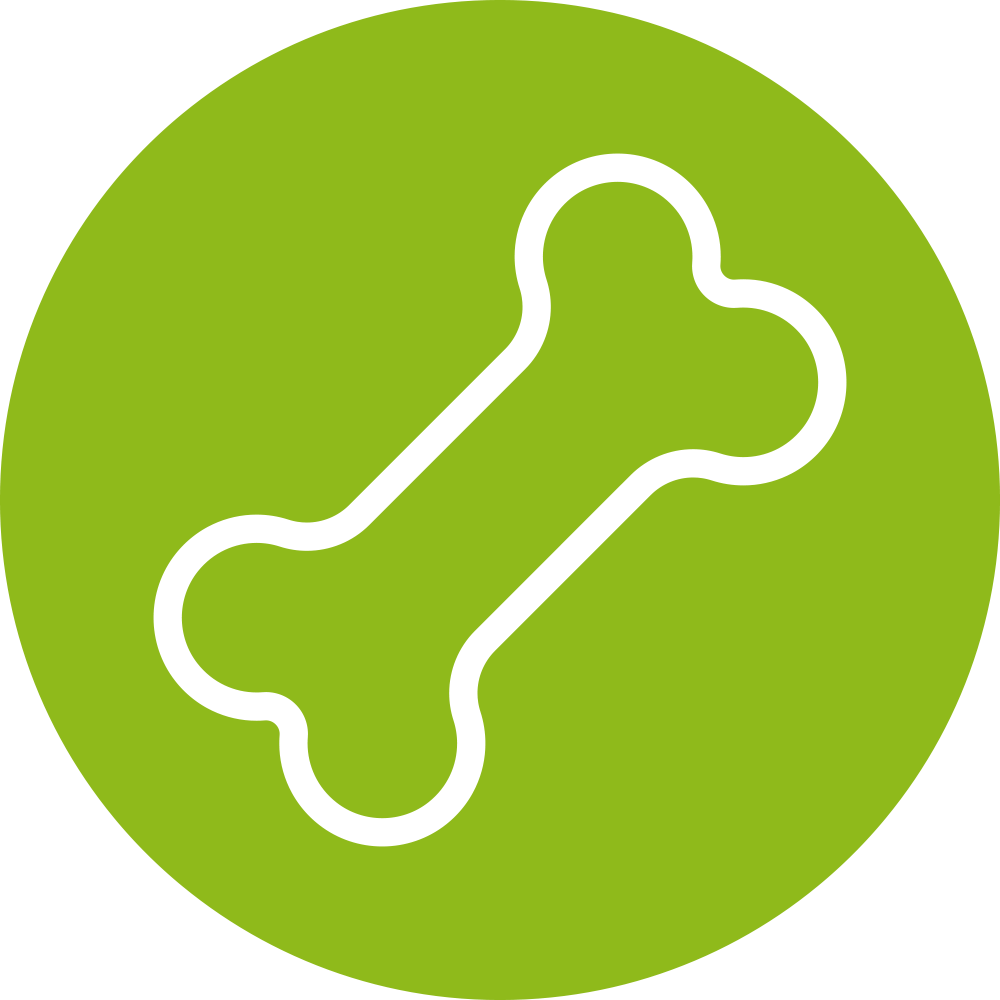 Bone - Ville De Saint Etienne (1000x1000), Png Download