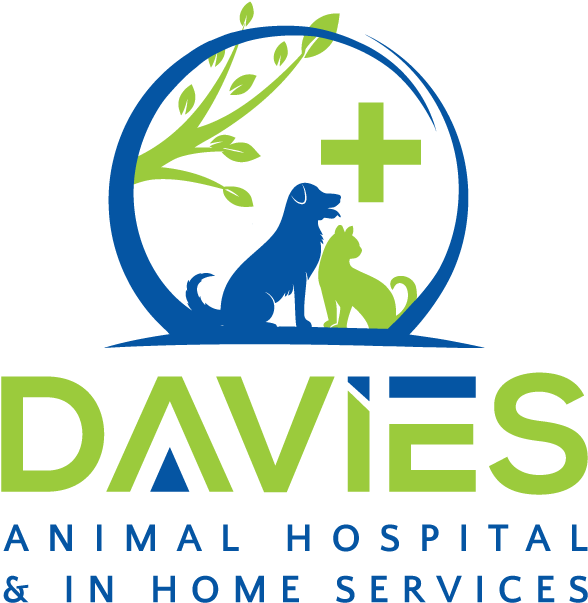 Davies Animal Hospital - Graphic Design (600x613), Png Download