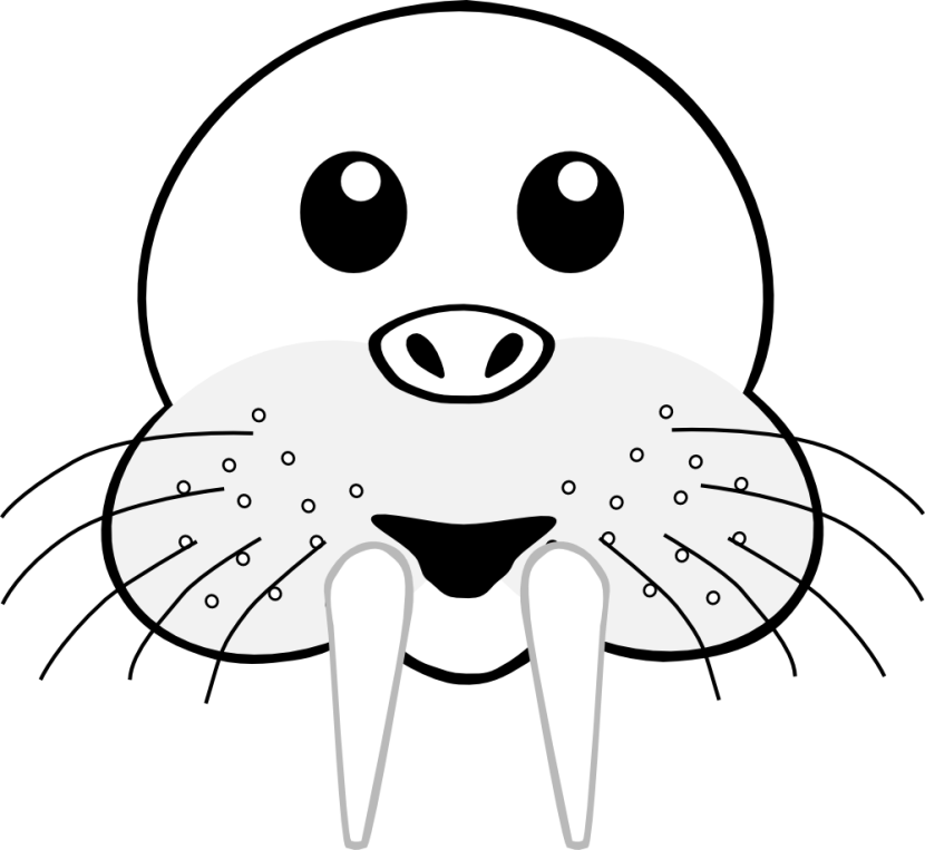 Walrus Clipart Outline - Animal Head Clip Art (830x763), Png Download