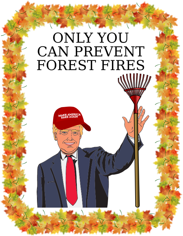 Smokey The Trump - Clip Art Simple Fall Border (593x765), Png Download