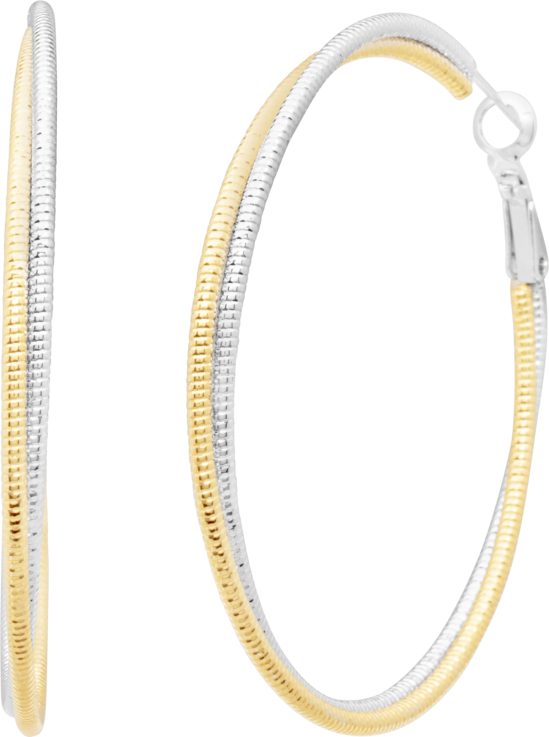Roselyn Hoop Earring - Earrings (3000x3000), Png Download