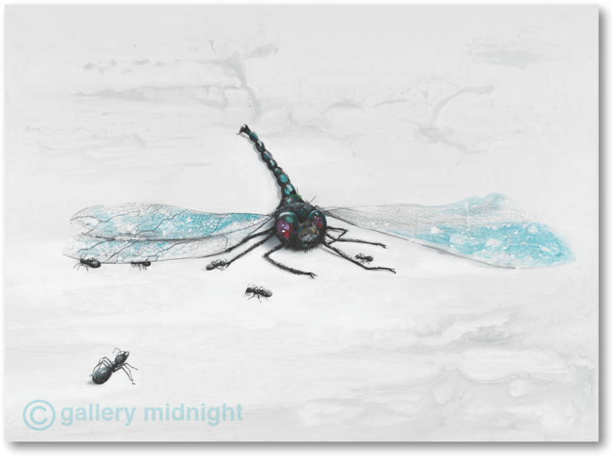 Damselfly (1000x1000), Png Download
