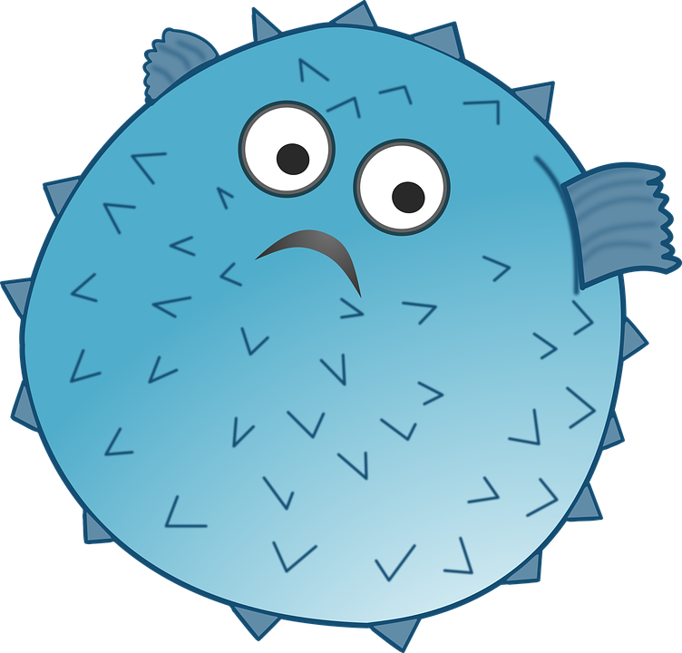 Blowfish Clipart (752x720), Png Download