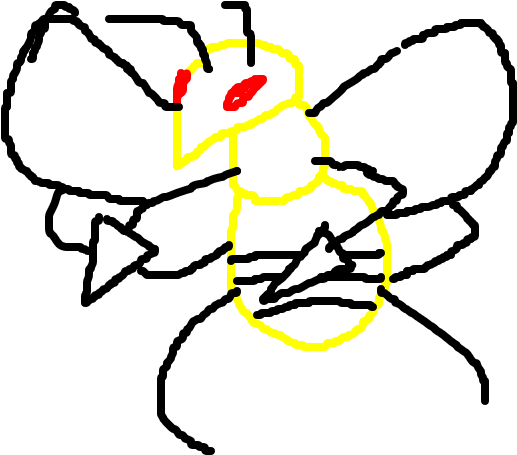 Beedrill - Cartoon (1020x608), Png Download