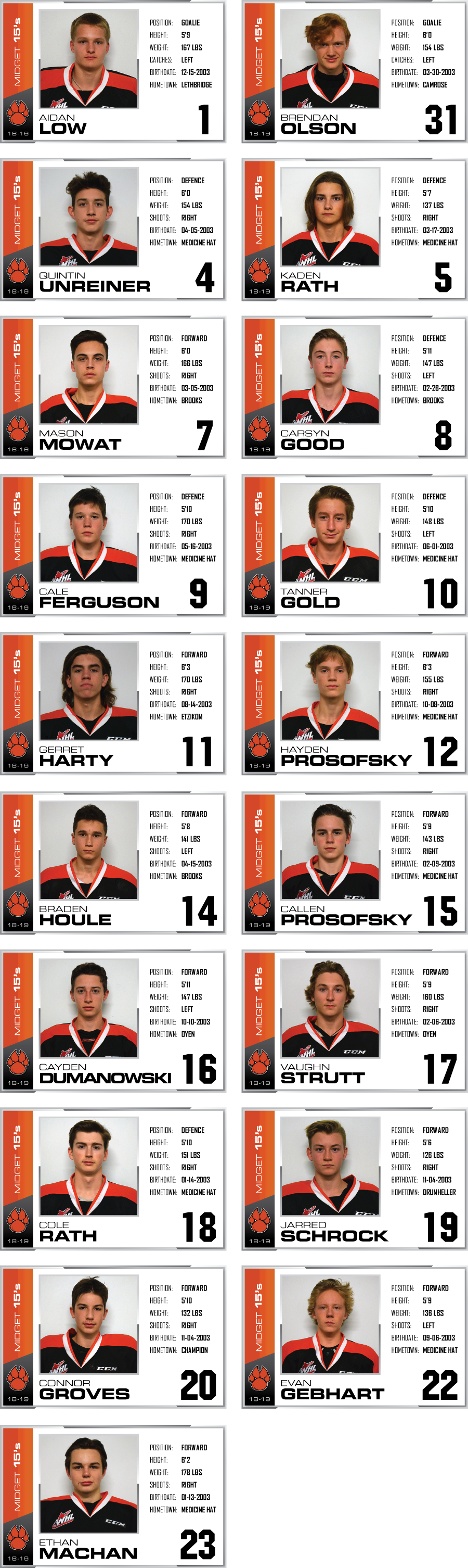 Midget 15's Roster Web (900x3012), Png Download