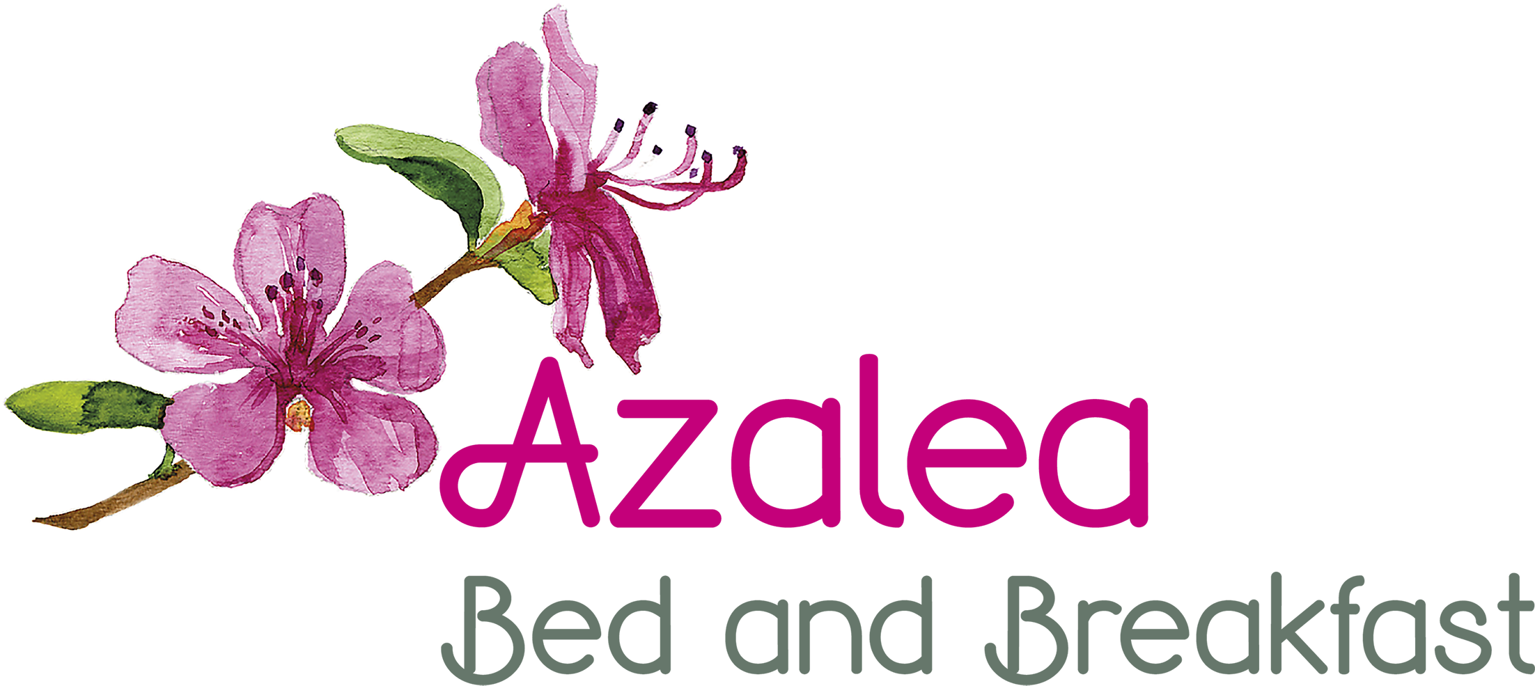 Azalea Bed And Breakfast - Melastome Family (2248x1028), Png Download