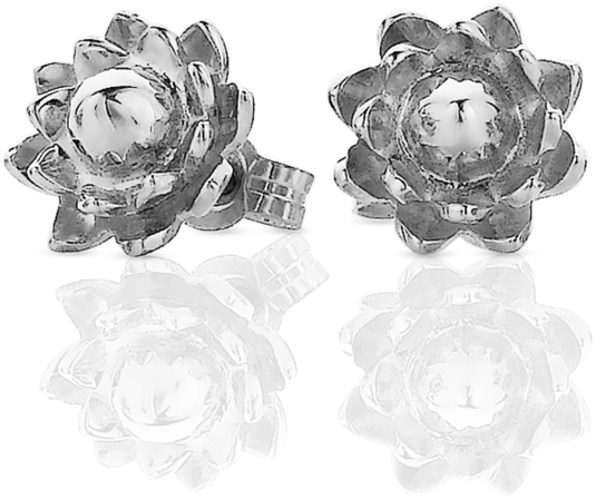 Protea Stud Earrings - Garden Roses (1036x1036), Png Download