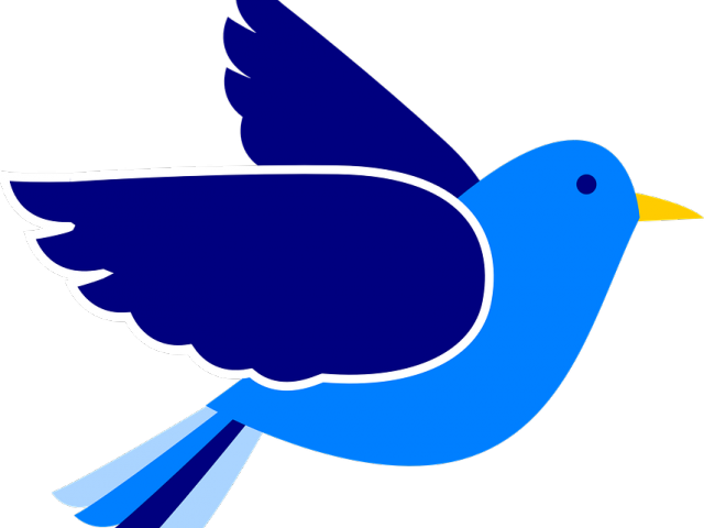 Peace Clipart Paz - Flying Bird Clipart Transparent Background (640x480), Png Download