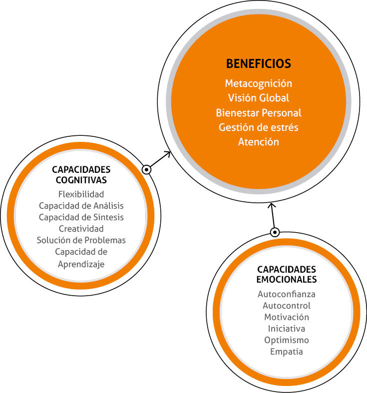 Beneficios - Diagram (735x787), Png Download