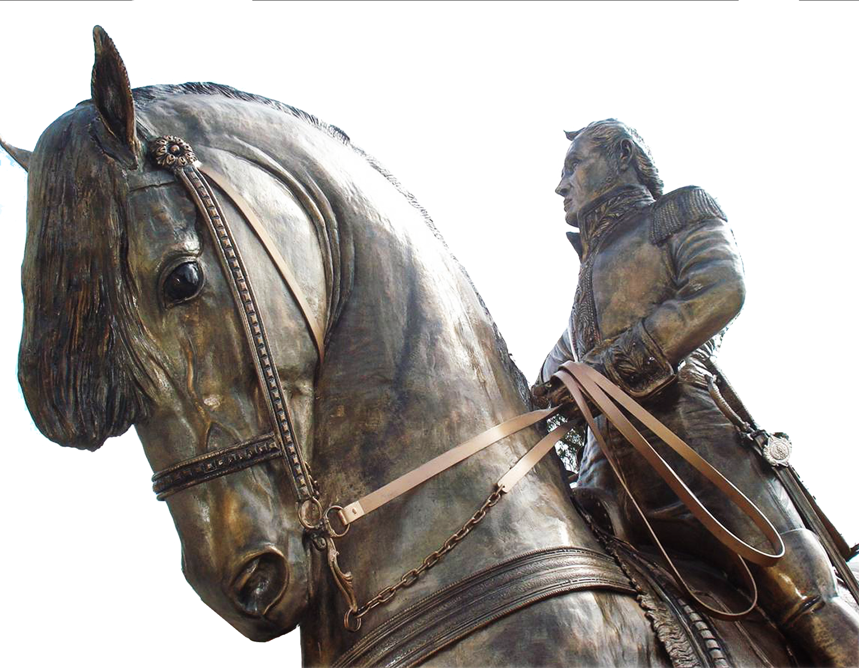 Paloma De La Paz - Stallion (1735x1350), Png Download