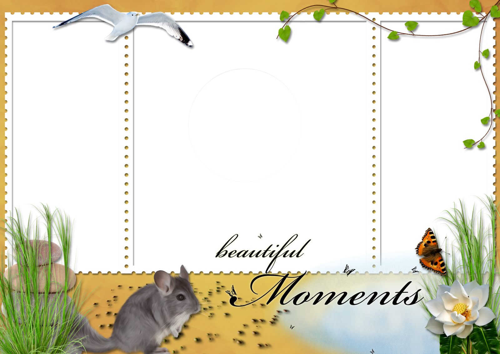 Marcadores Flores Png Molduras E Frames Png Png Fotos - Insect (1600x1131), Png Download