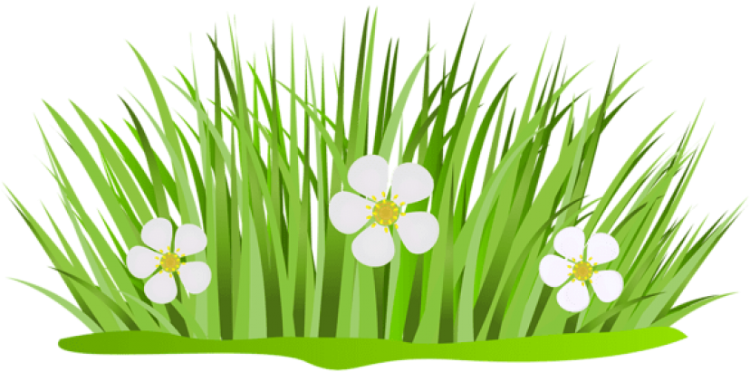 Free Png Download Grass Patch With Flowers Png Images - Grass With Flower Clipart (850x420), Png Download