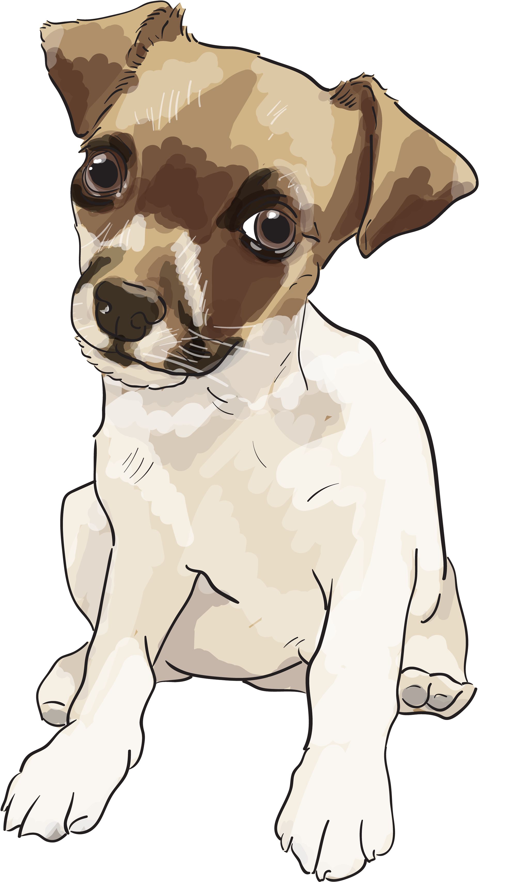 If You're Interested In Commissioning An Illustration, - Companion Dog (3840x3840), Png Download