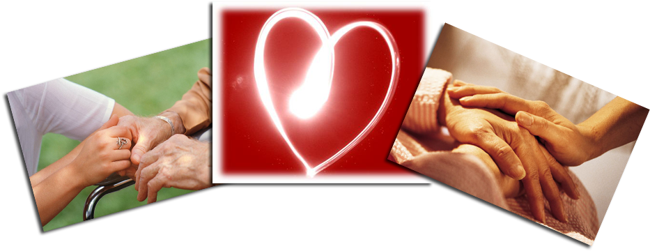 Volunteering Options (972x439), Png Download