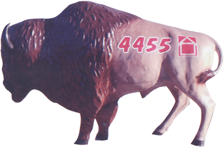 Buffalo Overhead Door Buffalo - Bull (1000x1000), Png Download