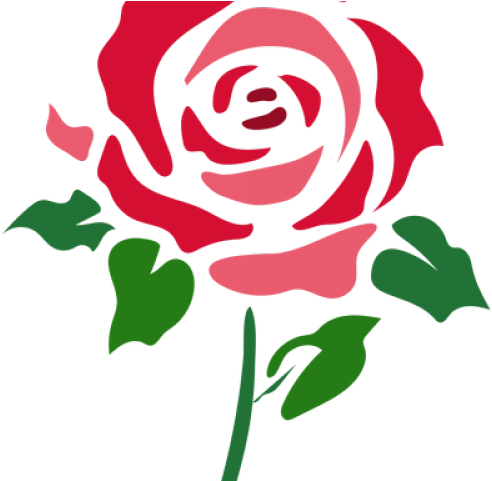 Abstract Flower Png (640x480), Png Download