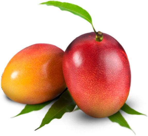 Mango Png Free Download - Mango Neelam (600x566), Png Download