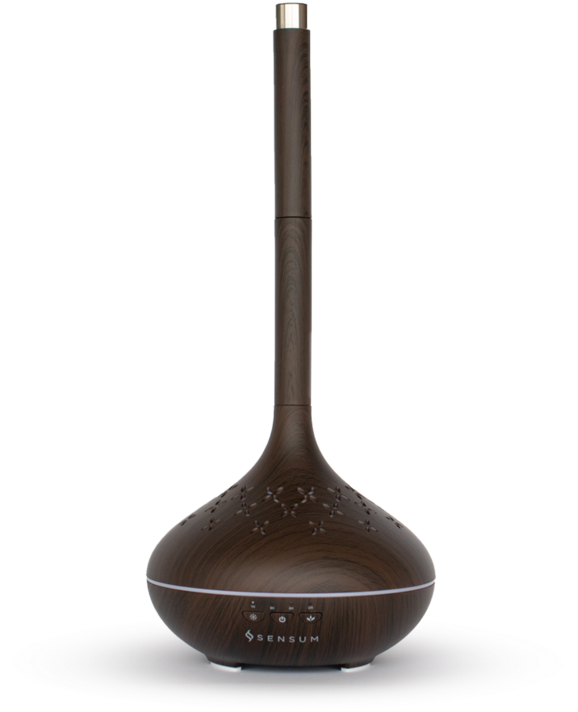 Black Walnut Black Walnut - Iron (600x857), Png Download