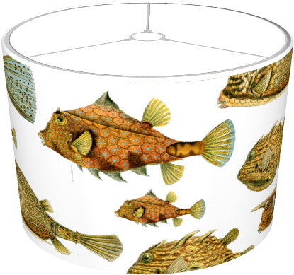 Deep Sea Fish Lamp - Porcelain (674x516), Png Download