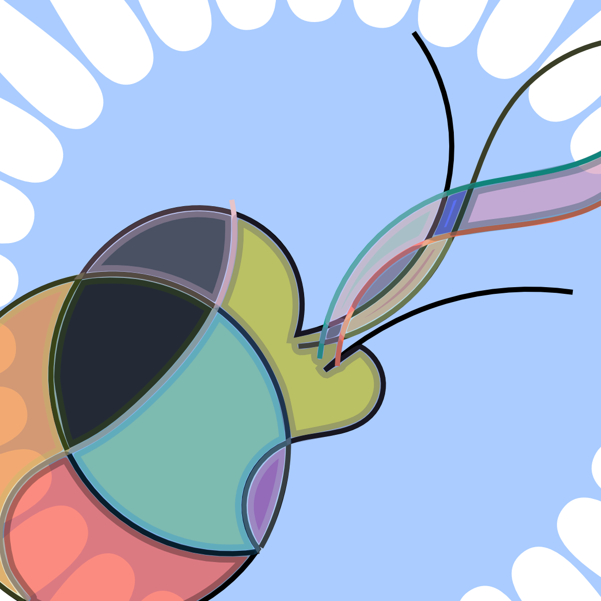 Clip Art (1172x1172), Png Download