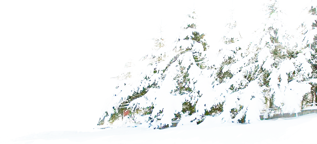 Tree Winter Pine Snow Free Download Png Hd Clipart - Snow (1109x595), Png Download