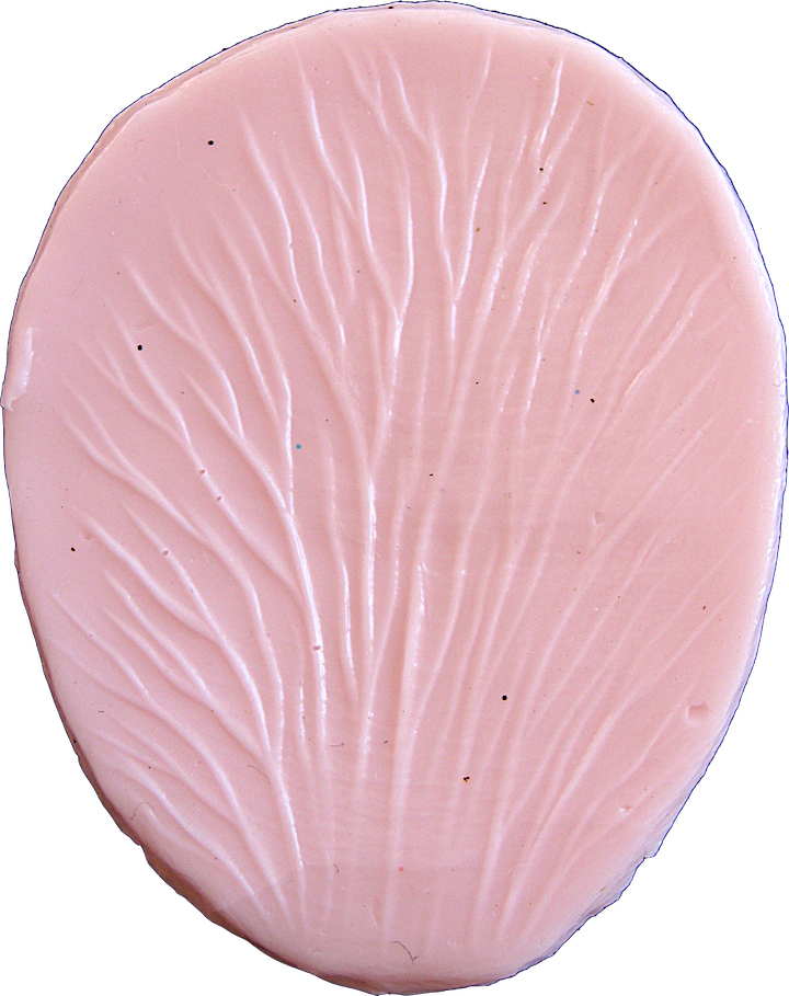 Multipurpose Flower & Leaf - Chocolate Cake (720x909), Png Download