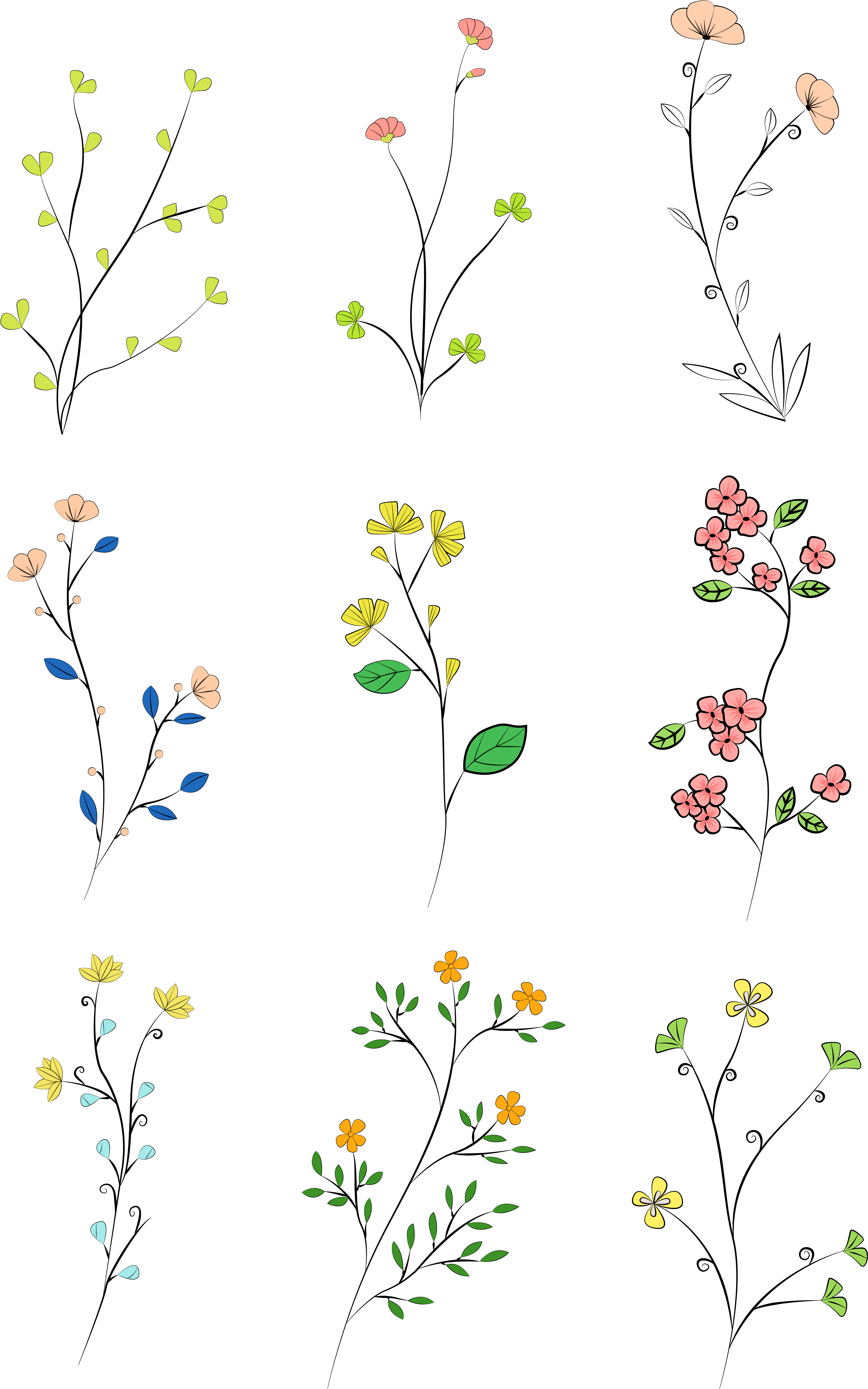 Hand Drawn Leaves Colored Plants Png And Vector Image (4267x5704), Png Download