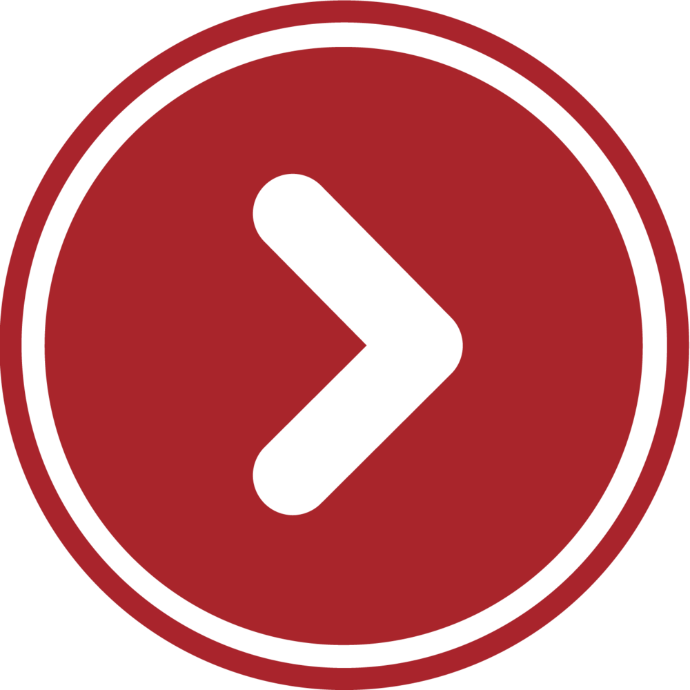 Download Next Icon - Penny Board Logo - HD Transparent PNG - NicePNG.com