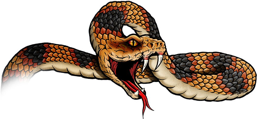 Graphic Library Download Blackwater Drift Branding - Australian Brown Snakes (857x391), Png Download