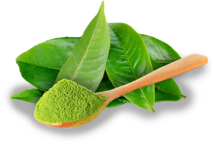 Terms - Icnutrition Whey Builder 350g - Matcha (437x296), Png Download