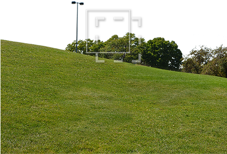 Parent Category - Grass Hill Texture (450x450), Png Download