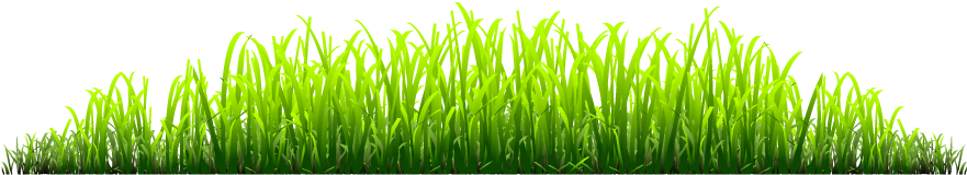 Grass - Sweet Grass (911x196), Png Download