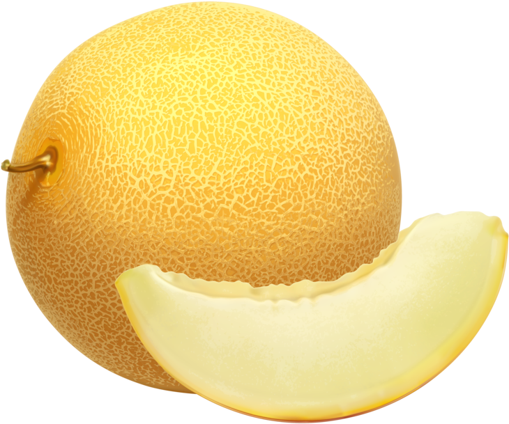 Cantaloupe Png Clipart - Cantaloupe Png (500x416), Png Download