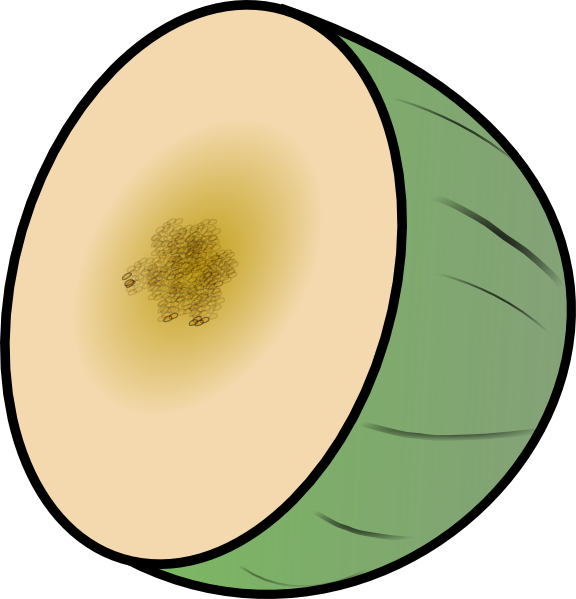 Free Vector Melon Clip Art - Winter Melon Clipart (576x599), Png Download