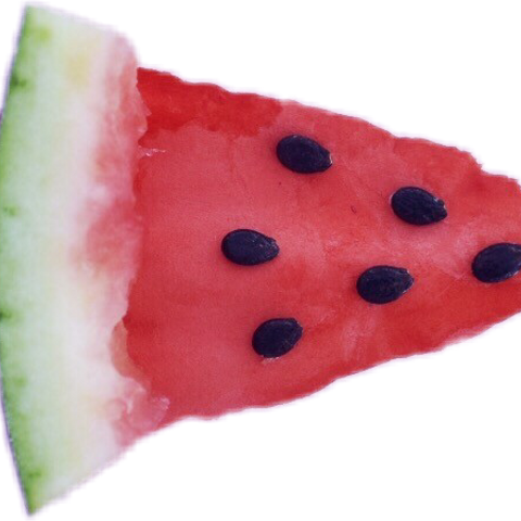 Watermelon (480x480), Png Download