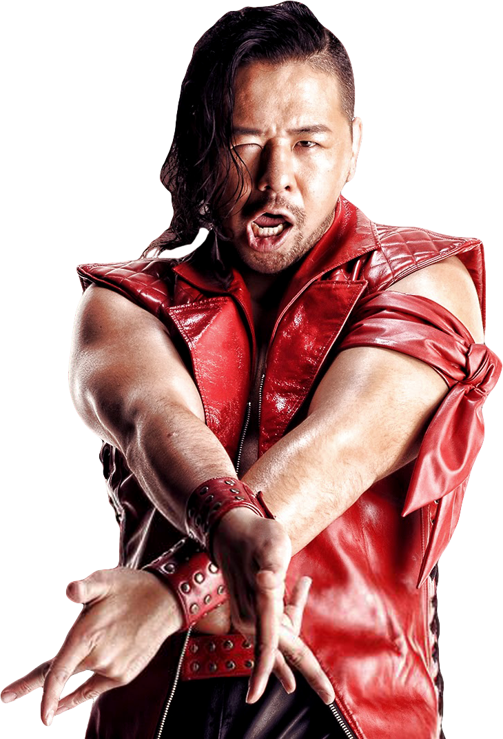 Shawn Michaels Clipart Render (730x1072), Png Download