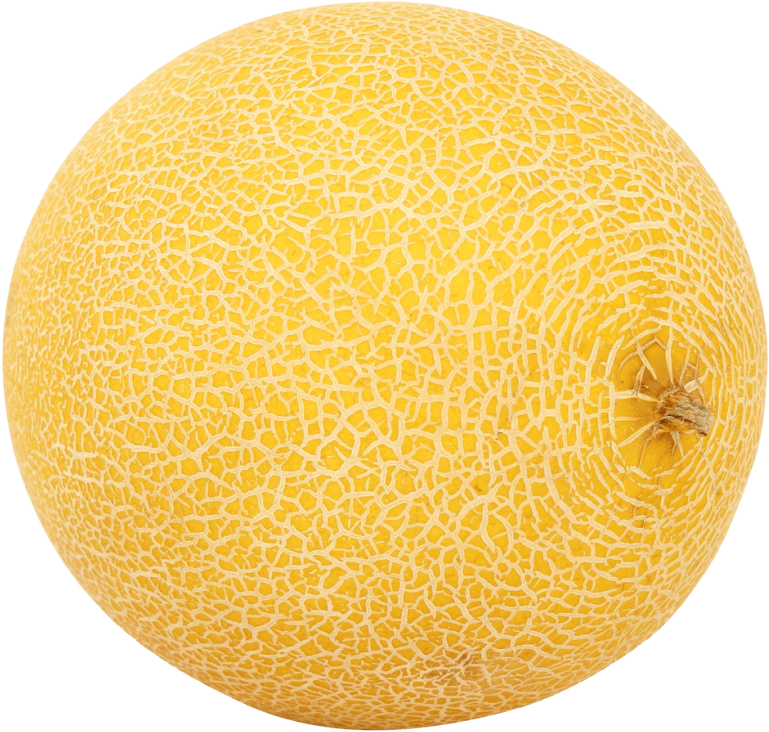Free Png Melon Png Images Transparent - Melon Png (850x804), Png Download