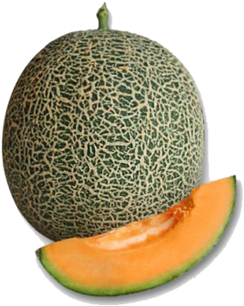 Cantaloupe (412x412), Png Download