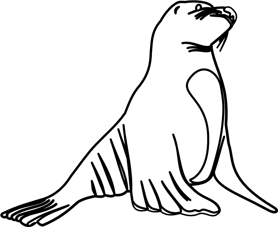 Sea Lion Clip Art - Sea Lion White And Black (999x814), Png Download