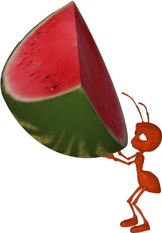 Watermelon Clipart Cantaloupe - Watermelon Ant (352x497), Png Download
