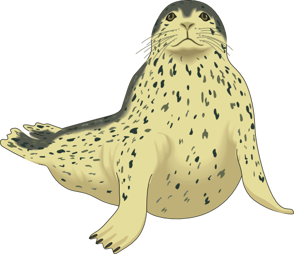 Spotted Seal Svg Clip Arts 600 X 519 Px (600x519), Png Download